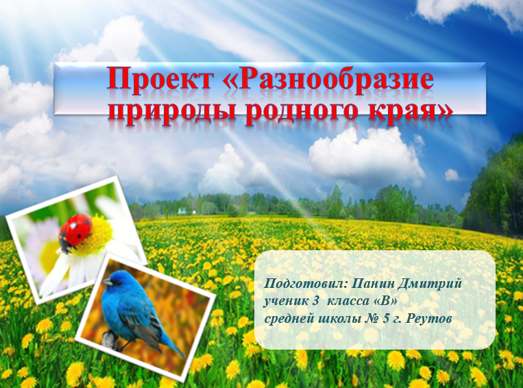 Проект природа родного края