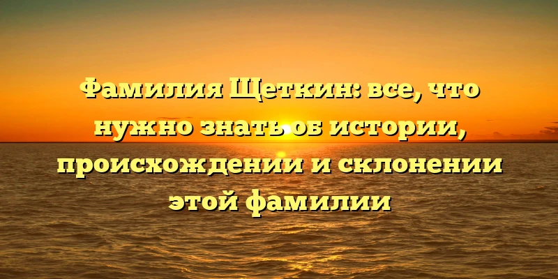 Фамилия Щеткин: все, что нужно знать об истории, происхождении и склонении этой фамилии Фамилия Щеткин: все, что нужно знать об истории, происхождении и склонении этой фамилии