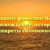 Исследование фамилии Чобитько: происхождение, история и секреты склонения