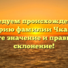 Исследуем происхождение и историю фамилии Чкалова: узнайте значение и правильное склонение!
