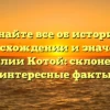 Узнайте все об истории, происхождении и значении фамилии Котой: склонение и интересные факты
