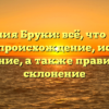 Фамилия Бруки: всё, что нужно знать — происхождение, история и значение, а также правильное склонение