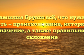 Фамилия Бруки: всё, что нужно знать — происхождение, история и значение, а также правильное склонение