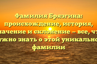 Фамилия Брязгина: происхождение, история, значение и склонение — все, что нужно знать о этой уникальной фамилии Фамилия Брязгина: происхождение, история, значение и склонение — все, что нужно знать о этой уникальной фамилии