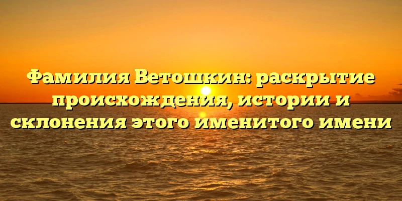 Фамилия Ветошкин: раскрытие происхождения, истории и склонения этого именитого имени Фамилия Ветошкин: раскрытие происхождения, истории и склонения этого именитого имени