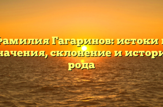 Фамилия Гагаринов: истоки и значения, склонение и история рода Фамилия Гагаринов: истоки и значения, склонение и история рода