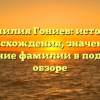Фамилия Гониев: история происхождения, значение и склонение фамилии в подробном обзоре