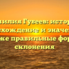 Фамилия Губеев: история, происхождение и значение, а также правильные формы склонения