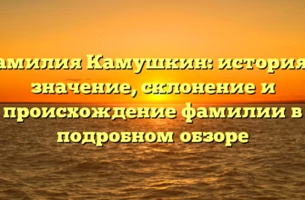 Фамилия Камушкин: история и значение, склонение и происхождение фамилии в подробном обзоре Фамилия Камушкин: история и значение, склонение и происхождение фамилии в подробном обзоре