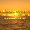 Фамилия Кита: история, значение и правила склонения — все, что нужно знать!