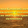 Фамилия Колодзей: история, происхождение и значение – все, что нужно знать для правильного склонения