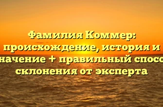 Фамилия Коммер: происхождение, история и значение + правильный способ склонения от эксперта Фамилия Коммер: происхождение, история и значение + правильный способ склонения от эксперта