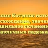 Фамилия Котенко: история и происхождение, значение и правильное склонение в различных падежах