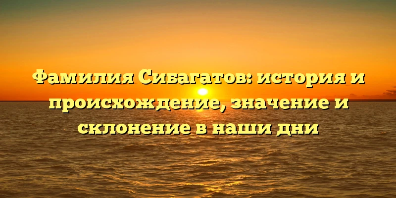 Фамилия Сибагатов: история и происхождение, значение и склонение в наши дни Фамилия Сибагатов: история и происхождение, значение и склонение в наши дни