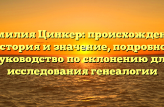 Фамилия Цинкер: происхождение, история и значение, подробное руководство по склонению для исследования генеалогии