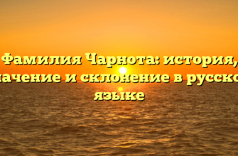 Фамилия Чарнота: история, значение и склонение в русском языке Фамилия Чарнота: история, значение и склонение в русском языке