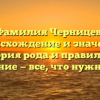 Фамилия Черницев: происхождение и значение, история рода и правильное склонение — все, что нужно знать