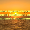 Изучаем происхождение и историю фамилии Голли: значение и склонение