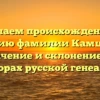 Изучаем происхождение и историю фамилии Камшилов: значение и склонение на просторах русской генеалогии