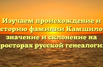 Изучаем происхождение и историю фамилии Камшилов: значение и склонение на просторах русской генеалогии Изучаем происхождение и историю фамилии Камшилов: значение и склонение на просторах русской генеалогии