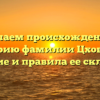 Изучаем происхождение и историю фамилии Цховреба: значение и правила ее склонения