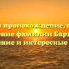 Изучаем происхождение, историю и значение фамилии Бардинцев: склонение и интересные факты