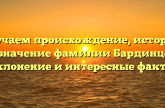 Изучаем происхождение, историю и значение фамилии Бардинцев: склонение и интересные факты