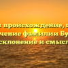 Изучаем происхождение, историю и значение фамилии Букаро: полное склонение и смысл имени