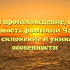 Изучаем происхождение, историю и значимость фамилии Чавдаров: полное склонение и уникальные особенности