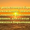Изучаем родословную Баркинхоев: происхождение, значение и склонение фамилии — SEO-заголовок для статьи на тему Фамилия Баркинхоев.