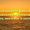 Исследование фамилии Камышникова: происхождение, история, значение и склонение