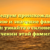 Исследуем происхождение, историю и значение фамилии Чилей: узнайте о склонении и значении этой фамилии