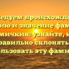Исследуем происхождение, историю и значение фамилии Чумичкин: узнайте, как правильно склонять и использовать эту фамилию