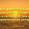 Исследуем фамилию Камарали: происхождение, исторические корни и склонение для вашей генеалогической истории.