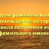 Исследуем фамилию Кожемяк: происхождение, история и правила склонения этого фамильного имени