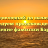От родословной до склонения: исследуем происхождение и значение фамилии Барнич