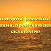 Полная история фамилии Кнулов: значения, происхождение и склонение