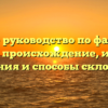 Полное руководство по фамилии Еськин: происхождение, история, значения и способы склонения
