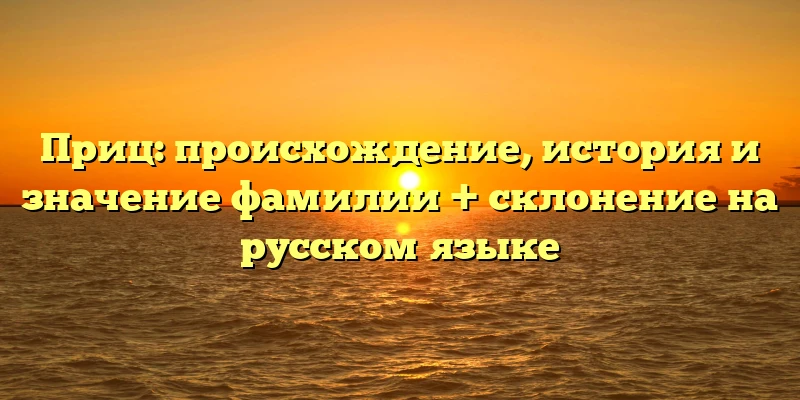 Приц: происхождение, история и значение фамилии + склонение на русском языке