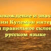 Происхождение и значение фамилии Кулемза: интересные факты и правильное склонение на русском языке