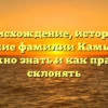 Происхождение, история и значение фамилии Камык: всё, что нужно знать и как правильно склонять