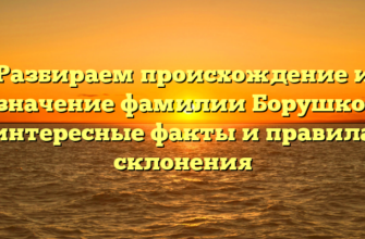 Разбираем происхождение и значение фамилии Борушко: интересные факты и правила склонения