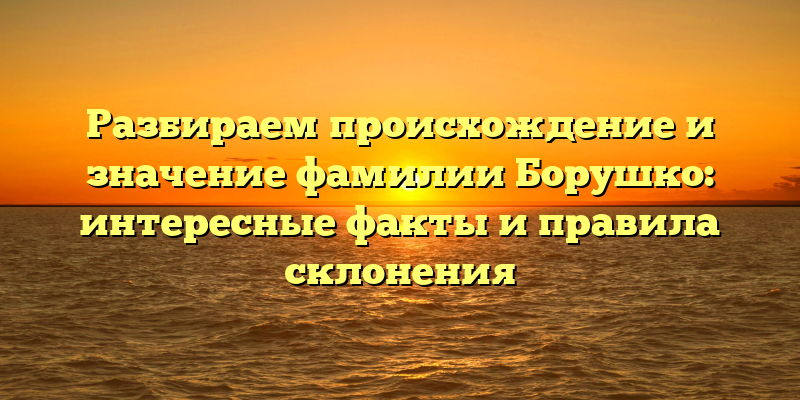 Разбираем происхождение и значение фамилии Борушко: интересные факты и правила склонения