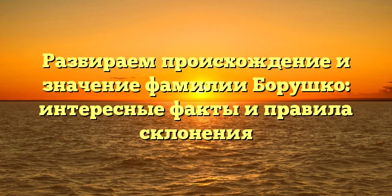 Разбираем происхождение и значение фамилии Борушко: интересные факты и правила склонения