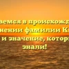 Разбираемся в происхождении и склонении фамилии Книсс: история и значение, которые вы не знали!