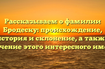 Рассказываем о фамилии Бродеску: происхождение, история и склонение, а также значение этого интересного имени