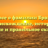 Узнаем все о фамилии Браницкий: происхождение, история, значение и правильное склонение