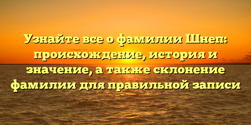 Узнайте все о фамилии Шнеп: происхождение, история и значение, а также склонение фамилии для правильной записи