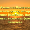 Фамилия Бабичев: происхождение, история и значение фамилии. Научись правильно склонять фамилию Бабичева
