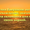 Фамилия Бабушкин: история происхождения, значение и правила склонения для поиска своих корней.